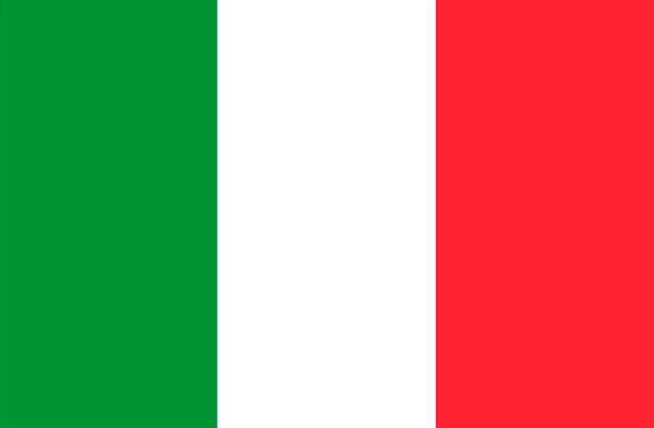 Website translation service to Italian WPML